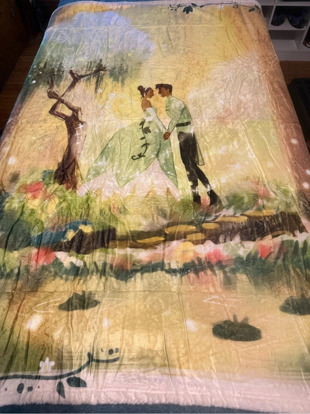 Princess and the frog throw blanket